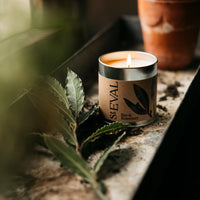 Bay & Rosemary, Tin Candle